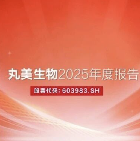 ��Ծ�³̣����������������Գɳ� | Z6������������2025��Ȼ㱨